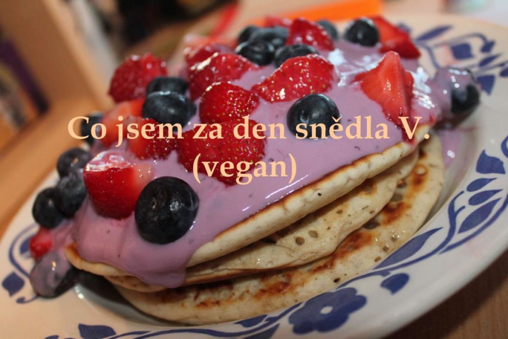 Co jsem za den snědla