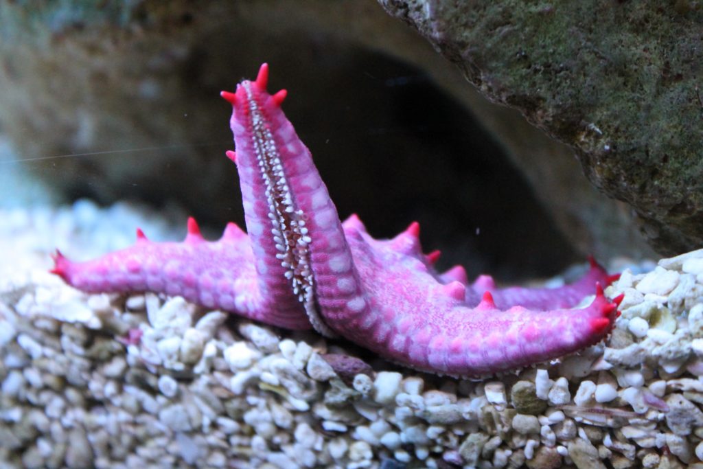 event review sea world prague animals recenze akce mořský svět praha zvířata