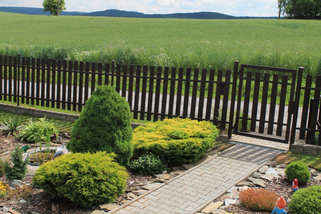 spring jaro nature příroda fotky photos flowers květiny sky nebe sun slunce