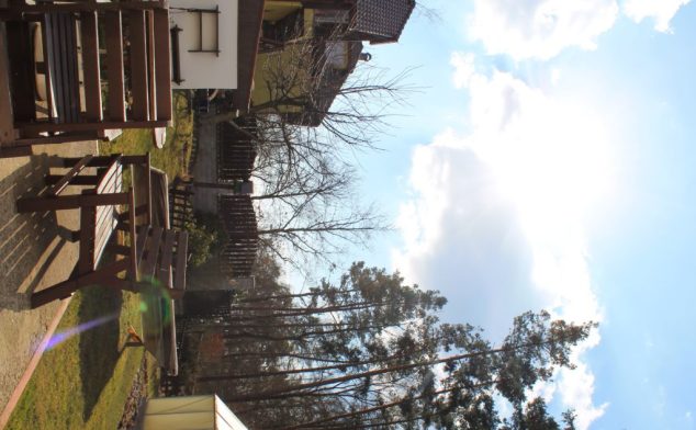 spring jaro nature příroda fotky photos flowers květiny sky nebe sun slunce