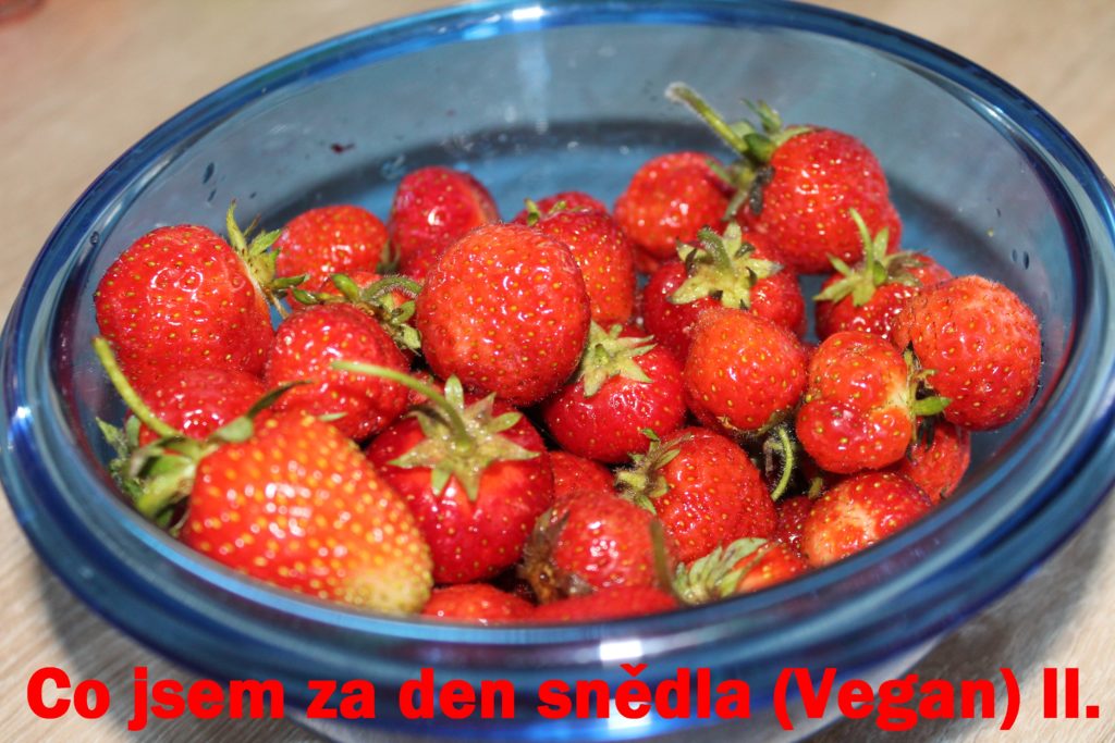 Co jsem za den snědla