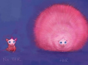 Arnold-Pygmy-Puff