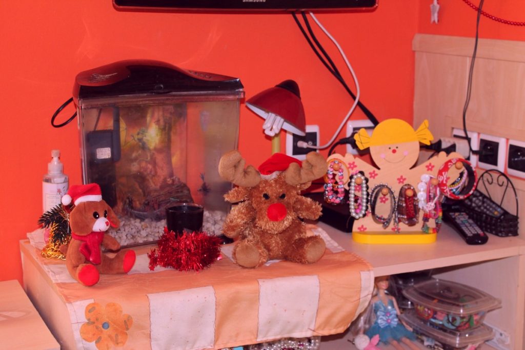 IMG_6928 (Kopírovat)