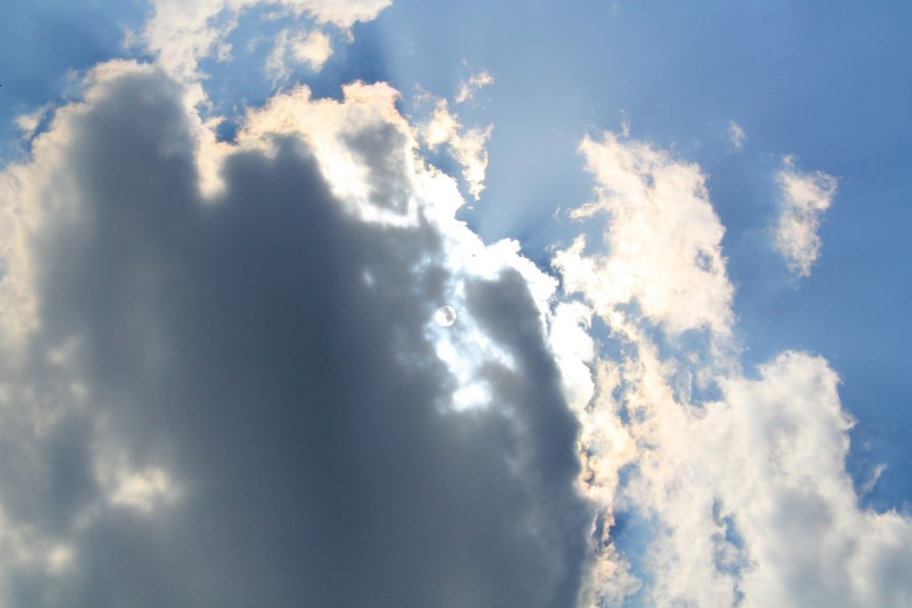 jaro nature příroda fotky photos flowers květiny sky nebe