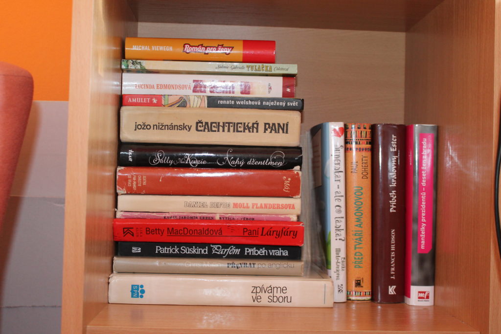 bookcase book kniha knihovna annie libary