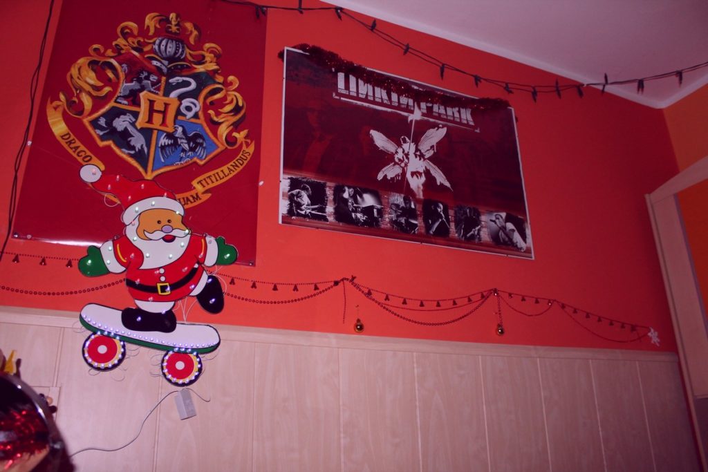 IMG_7244 (Kopírovat)