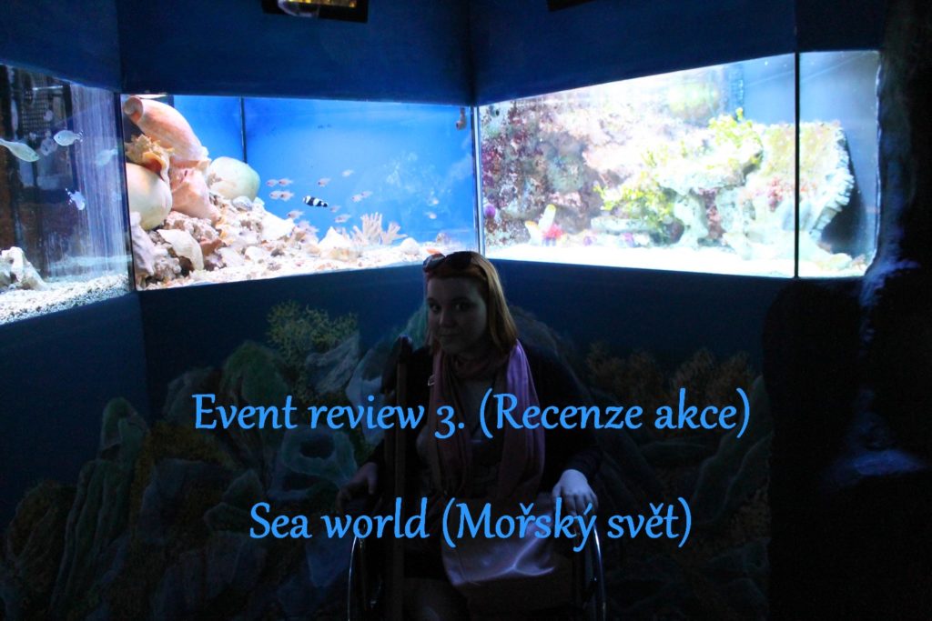  sea world prague animals mořský svět praha zvířata fish ryby 