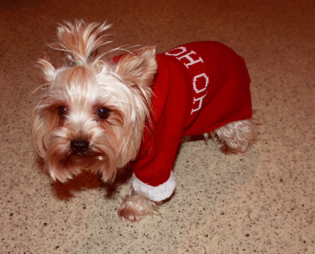 IMG_7896 (Kopírovat)