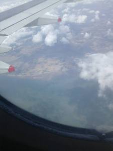 1456851_815118695205037_712774847_n