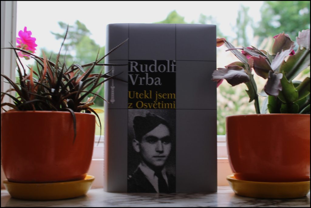 book review recenze knihy